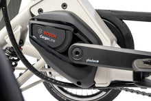 Afbeelding in Gallery-weergave laden, PfauTec Tibo+ | Vierwielfiets
