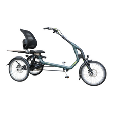 Afbeelding in Gallery-weergave laden, Van Raam Easy Rider