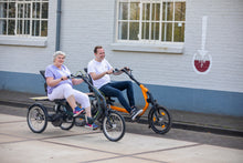 Afbeelding in Gallery-weergave laden, Van Raam Easy Rider