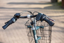 Afbeelding in Gallery-weergave laden, Van Raam Easy Go - Lease