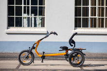 Afbeelding in Gallery-weergave laden, Van Raam Easy Rider