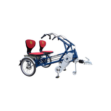 Afbeelding in Gallery-weergave laden, Van Raam FunTrain