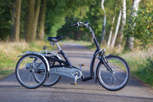 Afbeelding in Gallery-weergave laden, Van Raam Maxi comfort