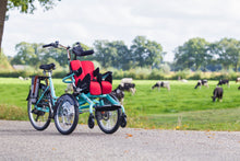 Afbeelding in Gallery-weergave laden, Van Raam Opair