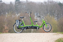 Afbeelding in Gallery-weergave laden, Van Raam Kivo