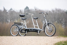 Afbeelding in Gallery-weergave laden, Van Raam Twinny Plus