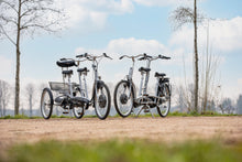 Afbeelding in Gallery-weergave laden, Van Raam Twinny Plus