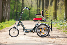 Afbeelding in Gallery-weergave laden, Van Raam Easy Go - Lease