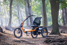 Afbeelding in Gallery-weergave laden, Van Raam Easy Rider