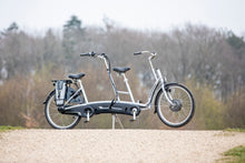 Afbeelding in Gallery-weergave laden, Van Raam Twinny - Lease
