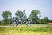 Afbeelding in Gallery-weergave laden, Van Raam Maxi - Lease
